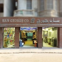 SanGeorge.Com.eg logo - Similar company to Vision - Vcs
