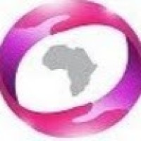 Boundless Hands Africa logo - Similar company to The Reach Nigeria Foundation