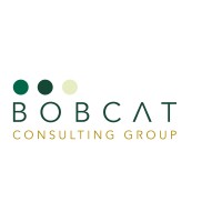 Bobcat Consulting Group logo - Similar company to Phi Chi Theta At Ohio University