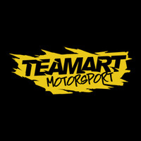 TeamART Motorsports logo - Similar company to Bulls Racing - Fsae Team