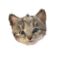 Squeakosaurus logo - Similar company to Smartdreams
