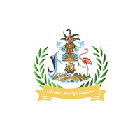 The Bahamas National Youth Ambassadors Corps logo - Similar company to Oasis Onchain