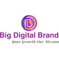 Big Digital brand logo - Similar company to Bot1.In