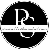 Procallisto Solutions logo - Similar company to Hello Mistri