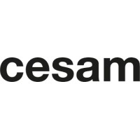 CESAM logo - Similar company to Participe Presents