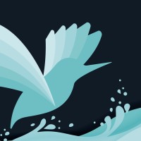 Crystal Clear Strategy Studio logo - Similar company to Minds2Capital