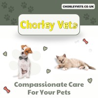 Chorley Vets logo - Similar company to Spicy Support