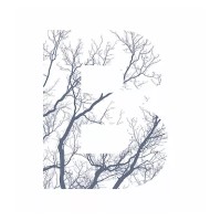 Bowral Legal logo - Similar company to Morris Legal Group