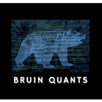 Bruin Quants logo - Similar company to Bruin Quant Traders