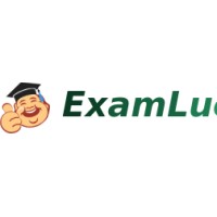 Examluck logo - Similar company to Mjm Technology