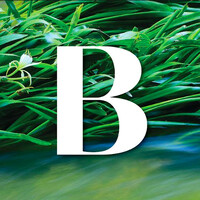 Backroad Portfolio Magazine logo - Similar company to Nil Wire