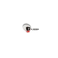 GD Goenka Public School logo - Similar company to Prudence School Pitampura