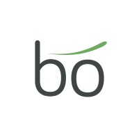 Boream logo - Similar company to Ingravika