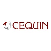 CEQUIN - Centre for Equity & Inclusion logo - Similar company to Futurern