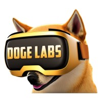 Doge Labs VR logo - Similar company to Drift Enterprise Training