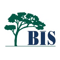 BIS Schools Çamlıca logo - Similar company to Fiesta Online