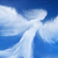Angels Cleaning Service LLC logo - Similar company to Ann Kale Associates, Ltd.