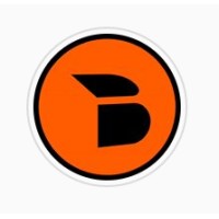 Bella Build and Design logo - Similar company to Tydan Constructions
