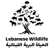 Lebanese Wildlife logo - Similar company to Conservation Key