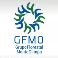Grupo Florestal Monte Olimpo (GFMO) logo - Similar company to Associação Atlética Acadêmica Luiz De Queiroz