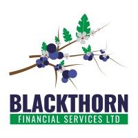 Blackthorn Financial Services Ltd logo - Similar company to Mva Advisory Limited