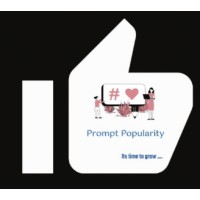 promptpopularity logo - Similar company to The Crowd Digital