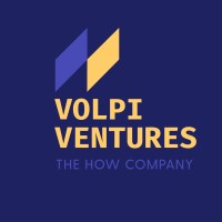 Volpi Ventures logo - Similar company to Your Pricing Pro