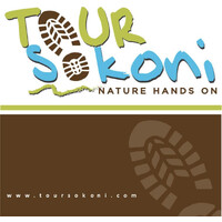 TOUR SOKONI logo - Similar company to Agence Tropical Tour Guadeloupe & Martinique