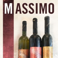 MASSIMO WINES LLC logo - Similar company to Ils, Inc.