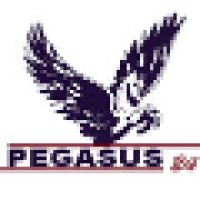Pegasus24 logo - Similar company to Ablit