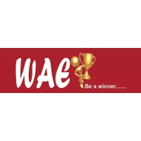 WAE Consultancy Services logo - Similar company to Octalbees