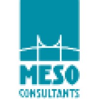 MeSo logo - Similar company to Bozzly.Online