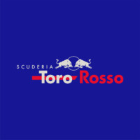 Scuderia Toro Rosso F1 Team logo - Similar company to Opentel