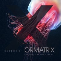 ORMATRIX | Custom Software & Web Design logo - Similar company to Three Baboons Technologies