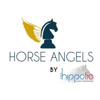 Horse Angels logo - Similar company to Undersee