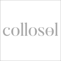 Collosol International logo - Similar company to Debo Events