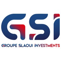 Gsi Groupe Slaoui Investments