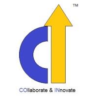COIN Consultancy Services Pvt Ltd logo - Similar company to Echelon Solutions Group