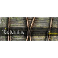 Goldmine Qualitative Research