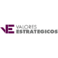 Valores Estratégicos S.A. logo - Similar company to Fainsa S.A. De C.V.