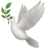 Kin logo - Similar company to Myintro