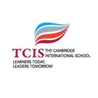 TCIS logo - Similar company to The Realign Coach