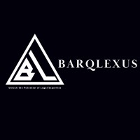 Barqlexus logo - Similar company to Nikhil Vyas & Associates