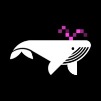 Whale.Agency logo - Similar company to Asal Studio