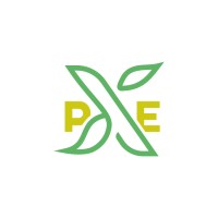 Produce Experience logo - Similar company to Master Customs Sas