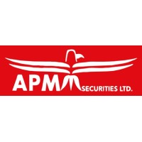 APM Securities logo - Similar company to Coleman Electronics Ltd