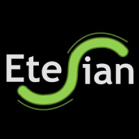 Etesian IT Consulting logo - Similar company to Solvento