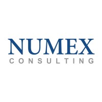 Numex Consulting logo - Similar company to Ignition Bd