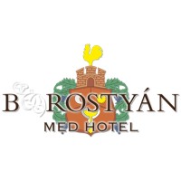 Borostyán Med-Hotel**** logo - Similar company to Novenza Art