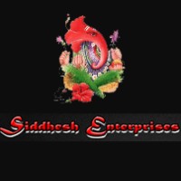 Siddhesh Enterprises logo - Similar company to Design Network Apl